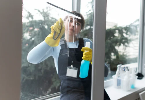 Nettoyage de vitres intérieures et extérieures à Brévonnes